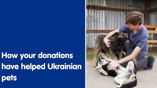 How your donations have helped Ukrainian pets | Blue Cross