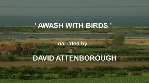 RSPB Awash With Birds (2004) - Narrated by Sir David Attenborough