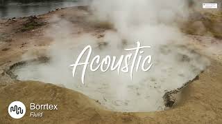 Best Search Acoustic Music for Video [ Borrtex - Fluid ]