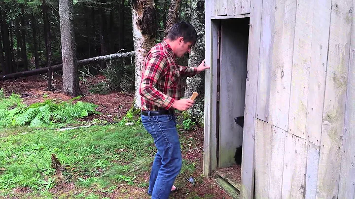 Nick and Janie's Old Yeller Scene