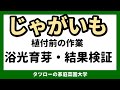 【家庭菜園】じゃがいも　浴光育芽 　結果検証