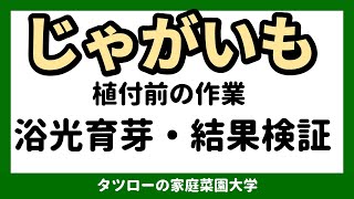 【家庭菜園】じゃがいも　浴光育芽 　結果検証