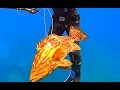 Spearfishing Best Shots of 2015 All in One - No5 !!