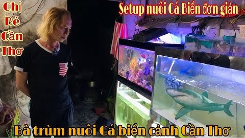 Khu nuôi Cá Biển siêu hay của chị Bé Bến Ninh Kiều - Thái Salem vê lốc