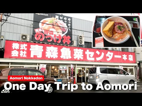 1 day trip from Tokyo to Aomori, Japan | Furukawa Fish Market Nokkedon