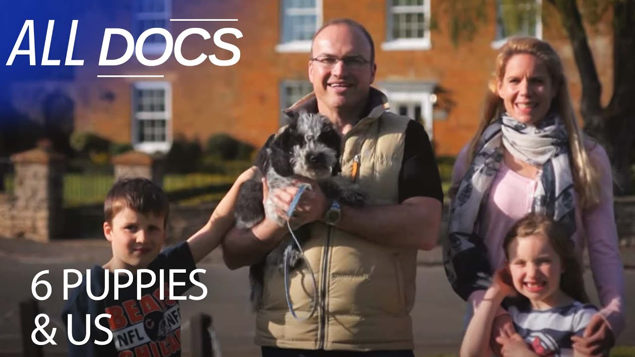 6 Puppies And Us (2021)