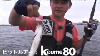 防波堤でのコウメ80攻略