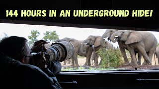 I spent 144 hours in Umgede Underground Hide at Antares Bush Camp!