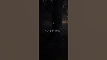 تلاوة من سورة يوسف خاشعة ومؤثرة بصوت القارئ اسلام صبحي  #قرآن #اكسبلور #explore #سورة_النمل