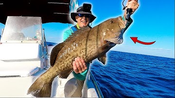 WIL JE GROTERE VISSEN? De STRATEGIE die voor mij werkte! [Tips en technieken voor offshore vissen]