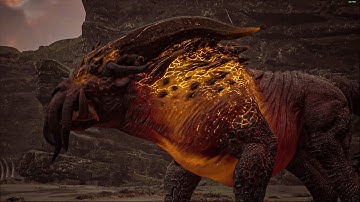 Hogwarts Legacy: How To Easy Defeat Graphorn