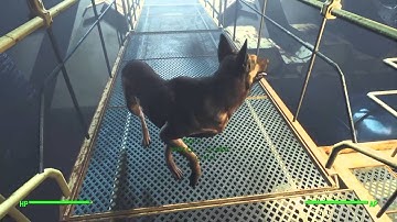 (UPDATED) How to get dogmeat into vault 111, and get cryo gun glitch!