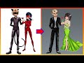 Miraculous: Ladybug Catnoir Transformation In Party - Miraculous Cartoon Art