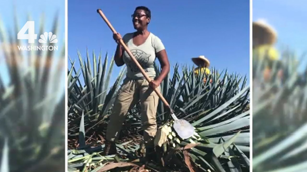 Dc Native Becomes First Black Woman To Own A Tequila Brand