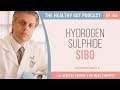 New! Hydrogen Sulphide SIBO with Dr Mark Pimentel and Rebecca Coomes | Ep 64