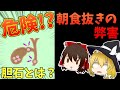 【ゆっくり解説】食事を抜くと胆石ができる？胆石の原因とは？
