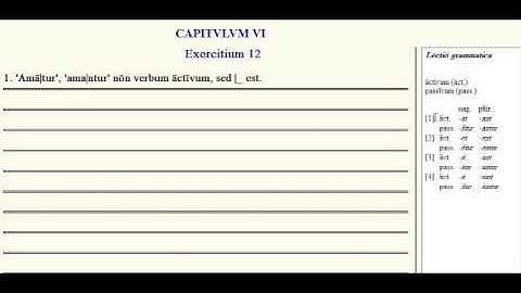 Lingua - 6.G - Exercise Tutorial