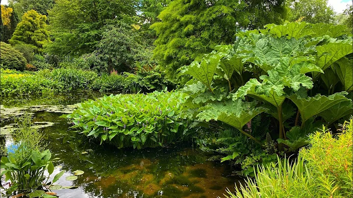 Tour of the Beth Chatto Gardens, Essex.