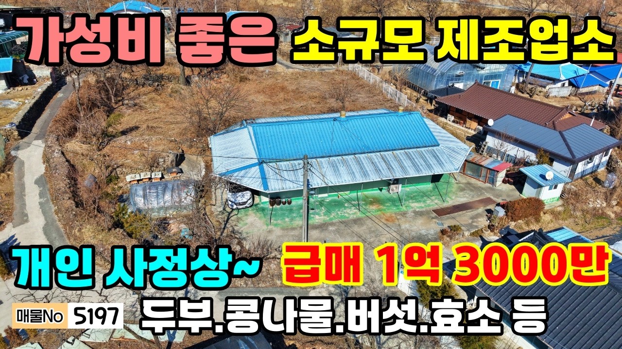 저렴하고 가성비 좋은 소규모 제조업소 매매 조용한 마을 버섯 두부 콩나물 효소제조 등 적합 근린생활시설 정안면 공주부동산~농가주택 토지 전원주택 매매( 행운집땅부동산)매물5197