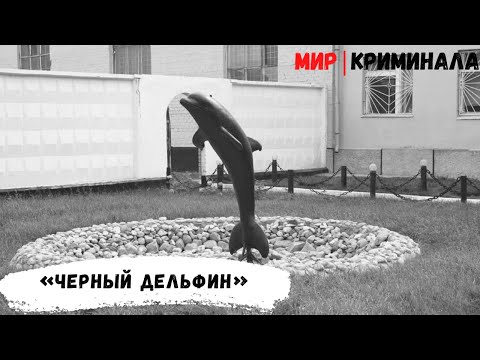 Черный фонтан песня. Чёрный Дельфин тюрьма 2023. Екатеринбург чёрный Дельфин. Колонии черный Дельфин в Оренбургской области.