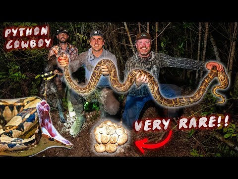 BITTEN by a GIANT SNAKE in the Everglades... Hunting w/ "The Python Cowboy" (Not Clickbait)