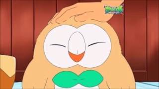 Ash has captured Rowlet
