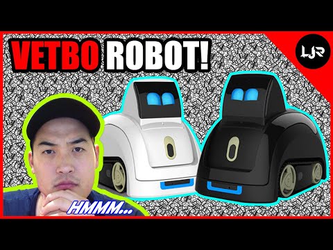 Video: Robot Sociali O Robot Da Compagnia