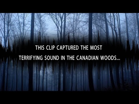 Video: Terrifying Sounds Were Heard In The Canadian Forests - Alternative View