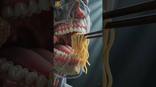 What Happens Inside Your Body When You Eat Ramen? | 3D Digestion Animation #ramen #digestion #shorts