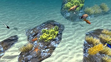 Sea quiz interactive floor effect by Interactstyle