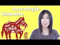 Signe cheval  quel est son sens dans la culture chinoise  astrologie chinoise 