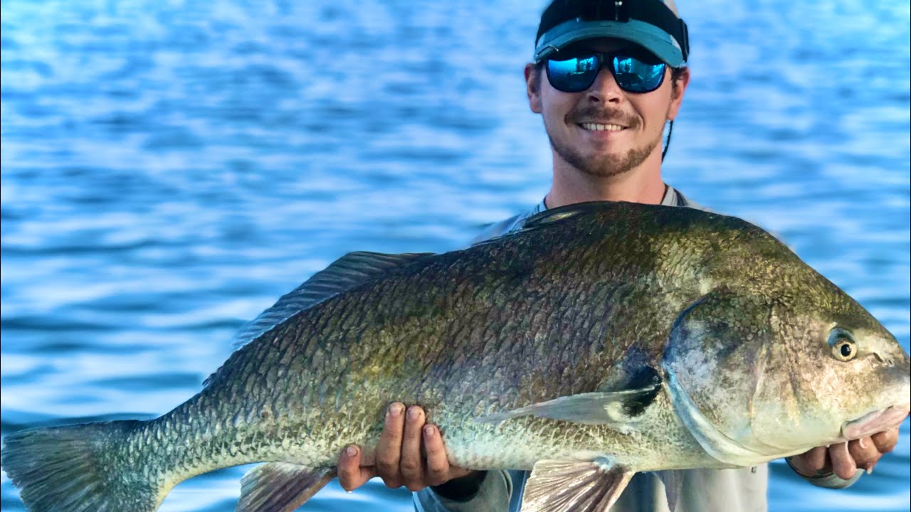Kayak fishing for HUGE FISH! 3 mile bridge, Pensacola Fl. YouTube