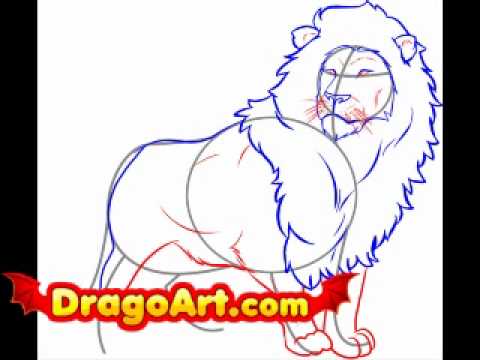 How to draw a lion, step by step - YouTube