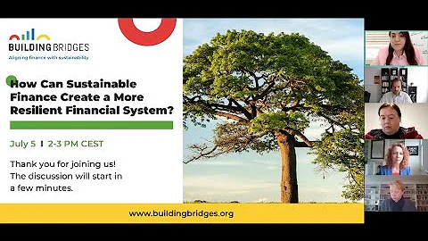 How Can Sustainable Finance Create a More Resilient Financial System?