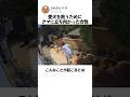 愛犬を救うためにクマに立ち向かった女性