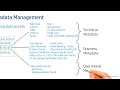 Metadata Management & Data Catalog (Data Architecture | Data Governance)