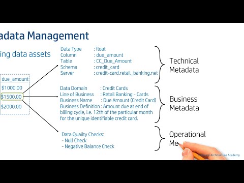 Metadata Management & Data Catalog (Data Architecture | Data Governance)