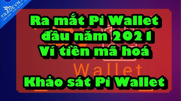 Khảo sát về việc nên dùng ví Pi Wallet không giam giữ hay bảo mật?