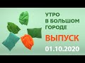 Утро в Большом Городе – выпуск от 01.10.2020 — ICTV