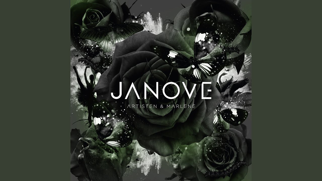 Janove - Spinner For Deg acordes