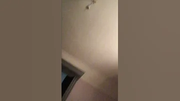 شاهد قبل الحذف 2018 الفيديو ا كبر نسبة مشاهدة ف العالم شيماء الحاج مني فاروق خالد يوسف رنيا يوسف 