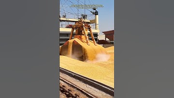High-Speed Grain Unloading with the Latest Machinery #machine #powertools #work