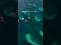 If this reel found you, take it as your sign to go sunset tubing in Fiji 🌅🛟.