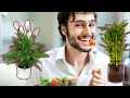 7 растений талисманов, которые привлекают счастье и удачу в ваш дом | Я знаю