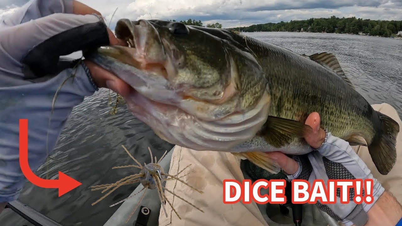 Breaking Out the Dice Bait – Solid Bass Day