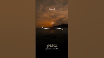 ألم تر أن الله أنزل من السماء ماء | أرح قلبك | | القرآن الكريم| #القرآن_الكريم