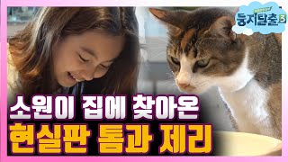 tvnnest3 이모가 가져온 정체불명의 선물은!? 181016 EP.27