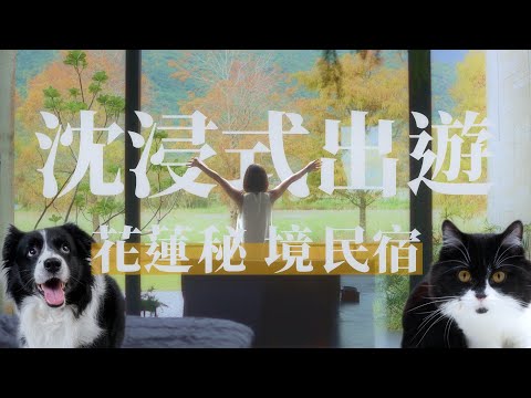 花蓮秘境｜讓室內設計師讚嘆｜小巧但功能性極佳的寵物友善民宿｜《那些年總監帶我住過的地方》