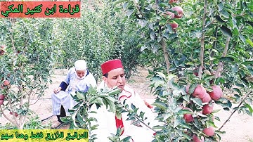 سورة القيامة بقراءة ابن كثير المكي مع جنى ثمار التفاح رفقة أبي حفظه الله