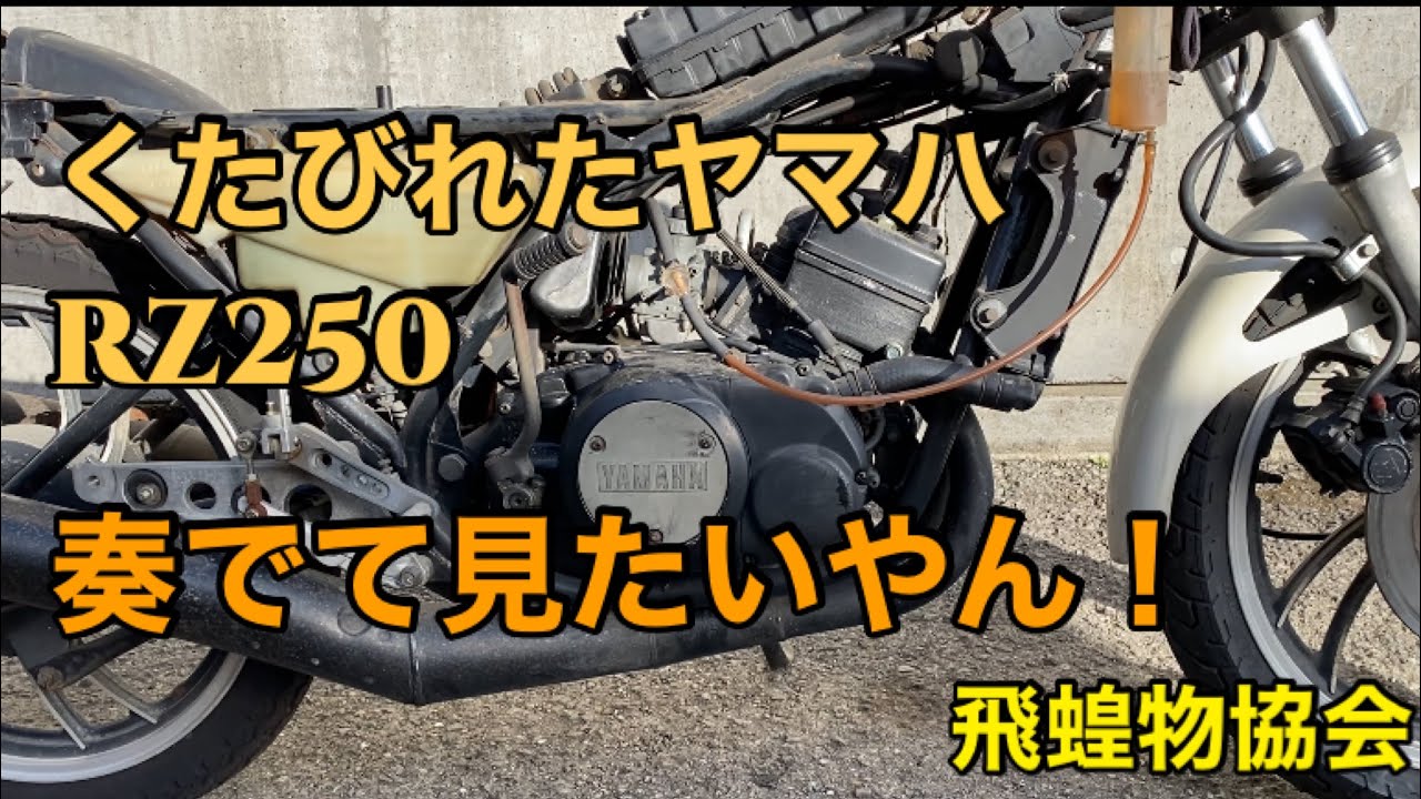 奏でて見たいやん!くたびれたヤマハRZ250キャブレターオーバーホール 奏でて見たいやん!くたびれたヤマハRZ250キャブレターオーバーホール